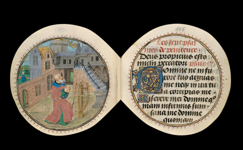 Codex rotundus - Dokumentation