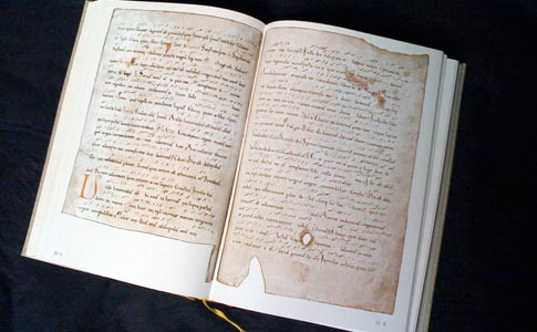Der Codex Albensis
