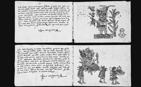 Codex Magliabechiano